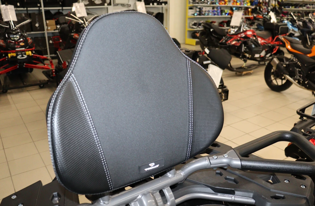 Квадроцикл PROMAX RENEGADE 300 LONG WINCH PRO (2025) в Миассе