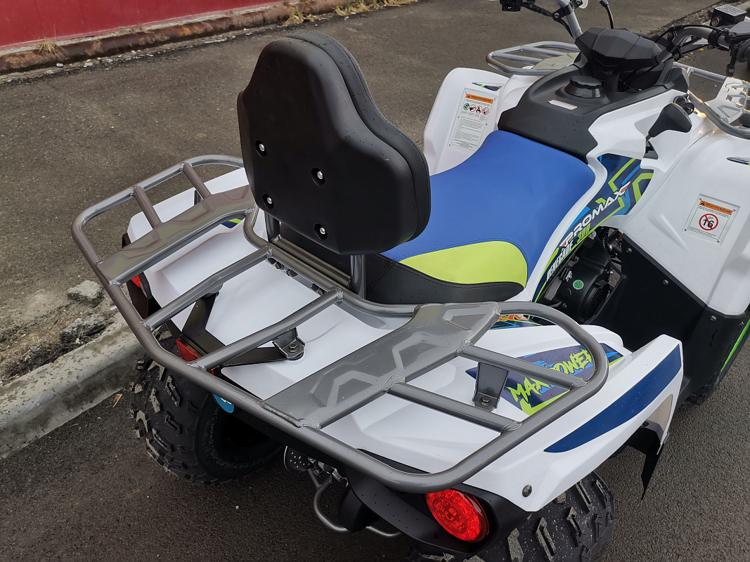 Квадроцикл PROMAX RENEGADE 280 LUX (2025) в Миассе
