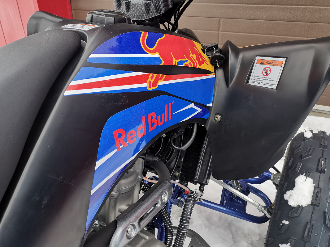 Квадроцикл PROMAX RAPTOR 300 NEW RedBull в Миассе