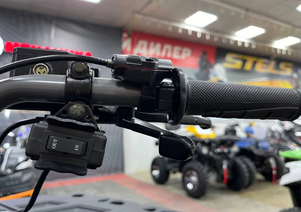 Квадроцикл PROMAX RENEGADE 300 LONG WINCH PRO (2025) в Миассе