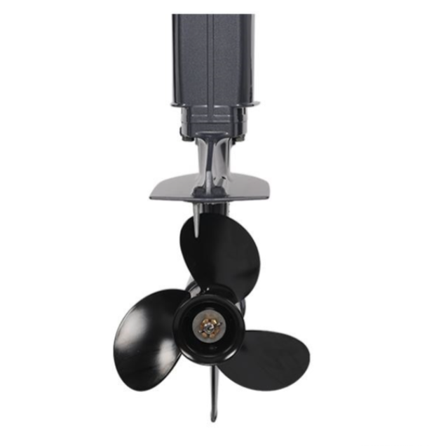 Лодочный мотор ALLFA CG Т40FW S в Миассе