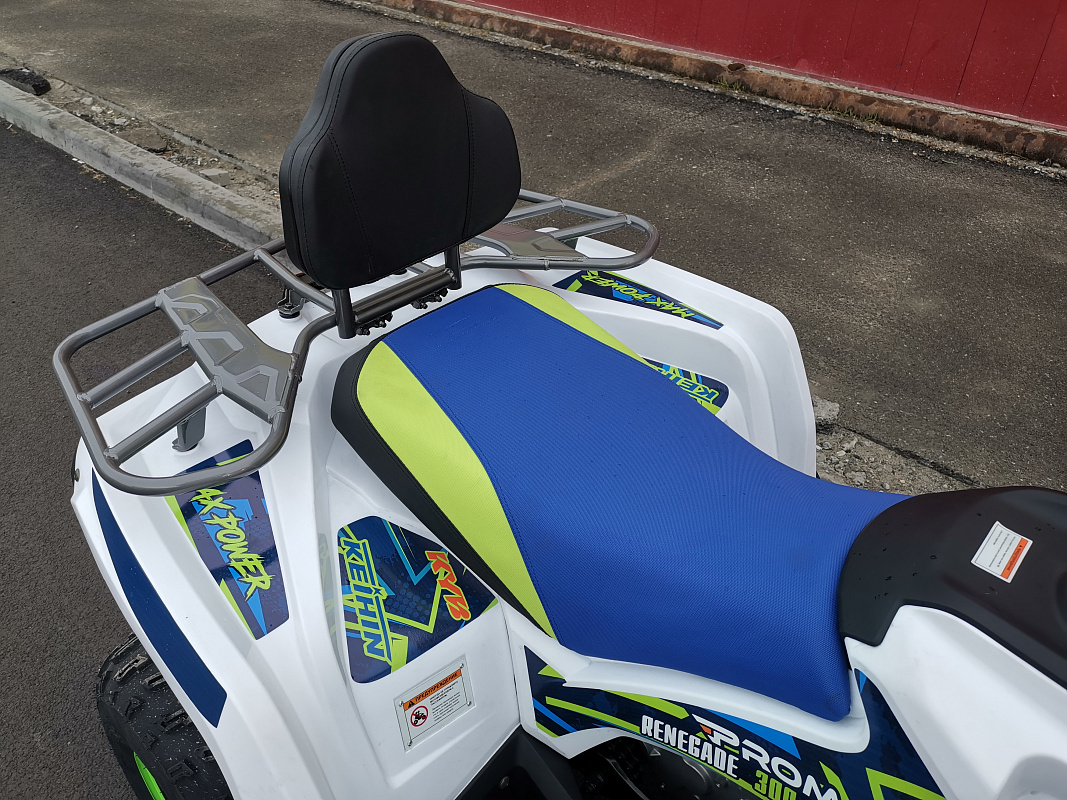 Квадроцикл PROMAX RENEGADE 280 LUX (2025) в Миассе