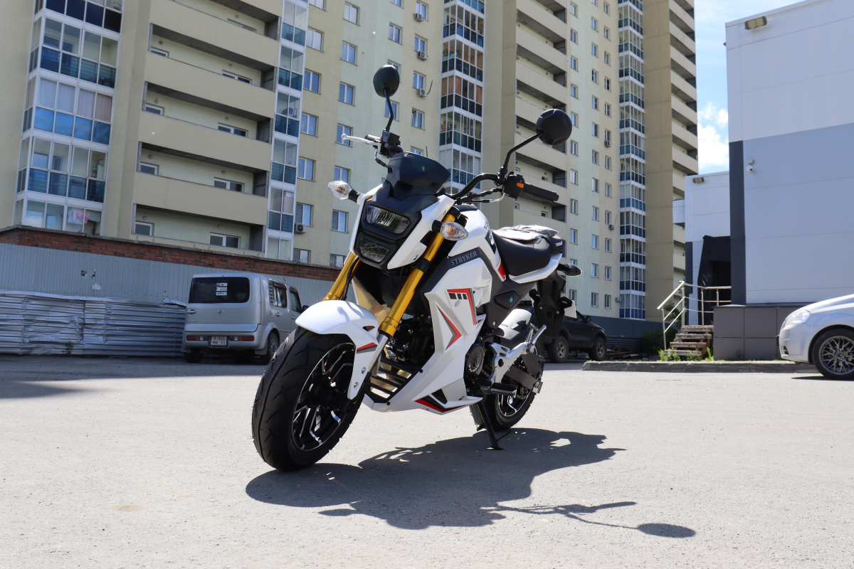Мотоцикл PROMAX STRYKER 200(49) 2.0 в Миассе