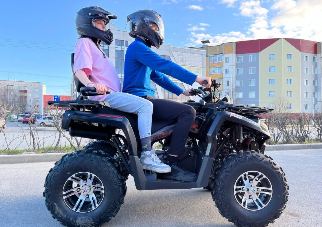 Квадроцикл PROMAX RENEGADE 300 LONG WINCH PRO (2025) в Миассе