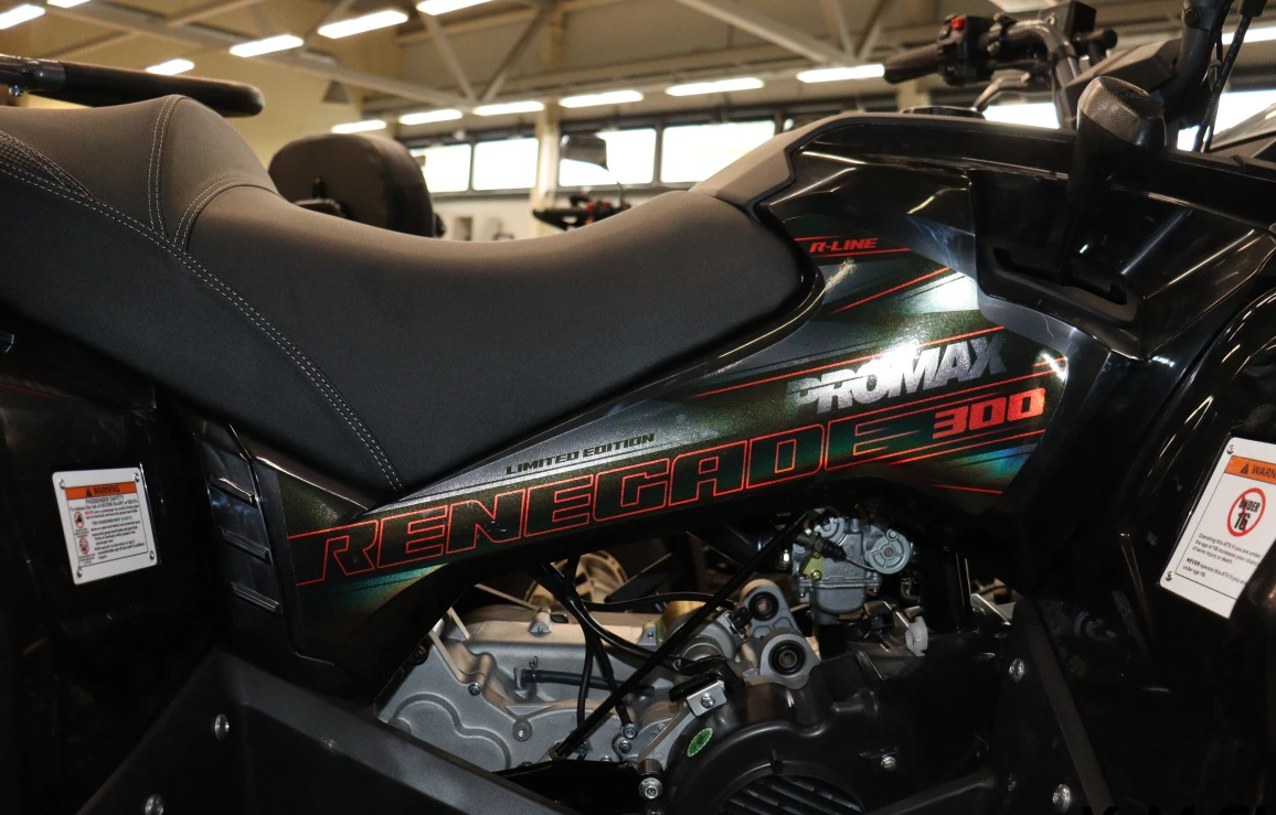 Квадроцикл PROMAX RENEGADE 300 LONG WINCH PRO (2025) в Миассе