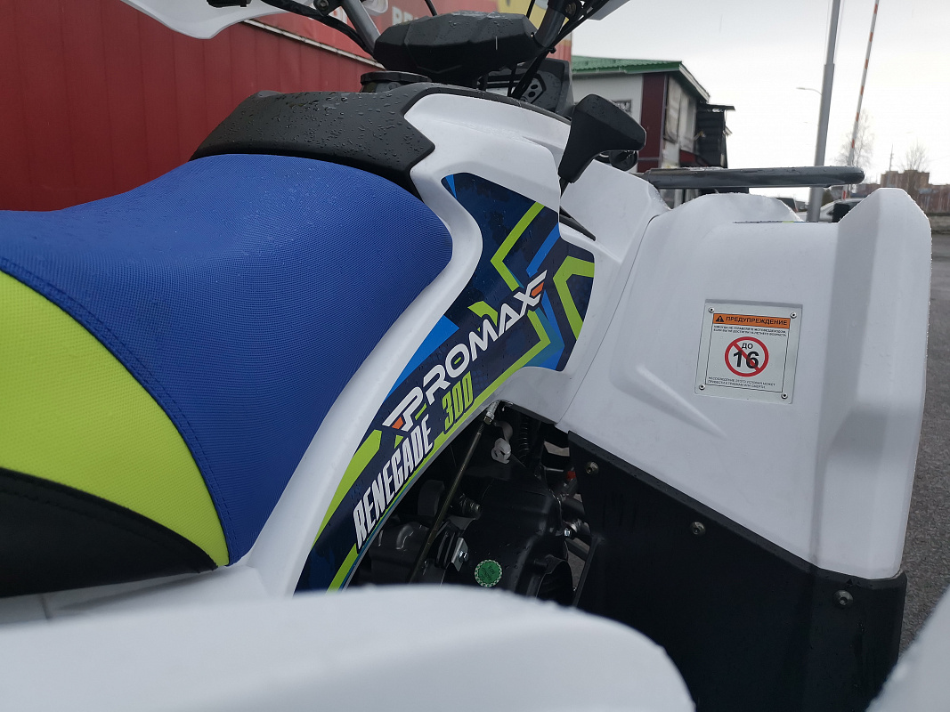 Квадроцикл PROMAX RENEGADE 280 LUX (2025) в Миассе
