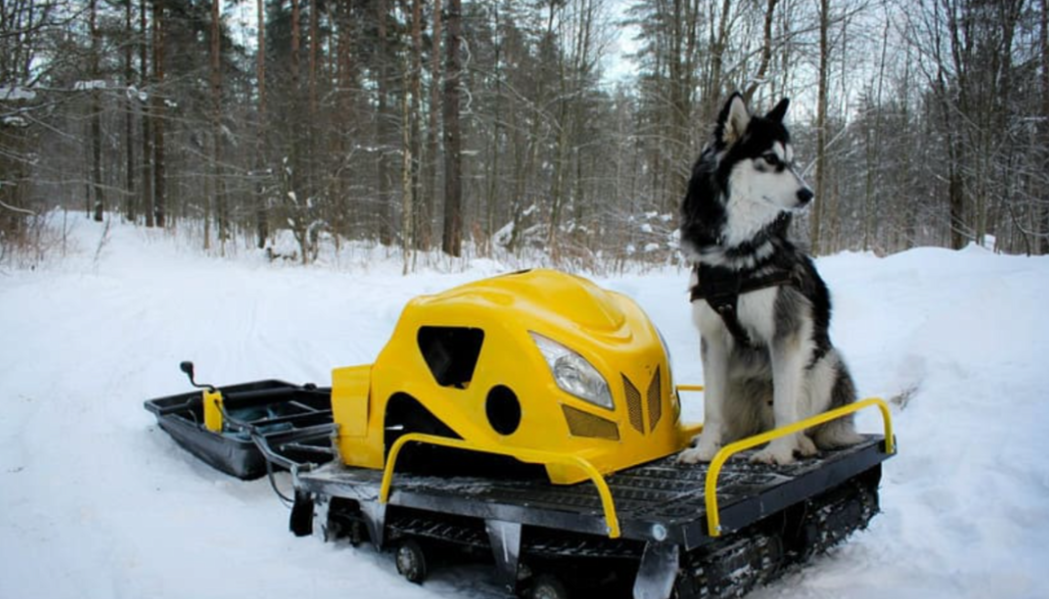 Мотобуксировщик LEBEDEV MOTORS ВОЛКОДАВ POWER V13 в Миассе