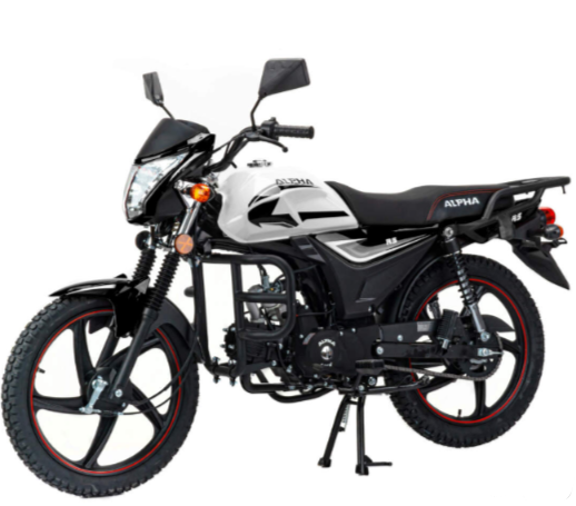 Мопед MOTOLAND (МОТОЛЕНД) Альфа RS 11 (LM48-B) в Миассе