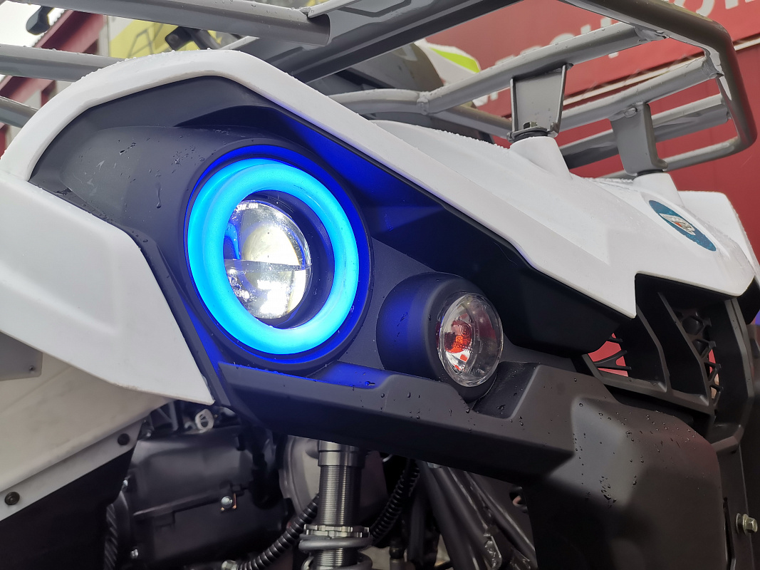 Квадроцикл PROMAX RENEGADE 280 LUX (2025) в Миассе