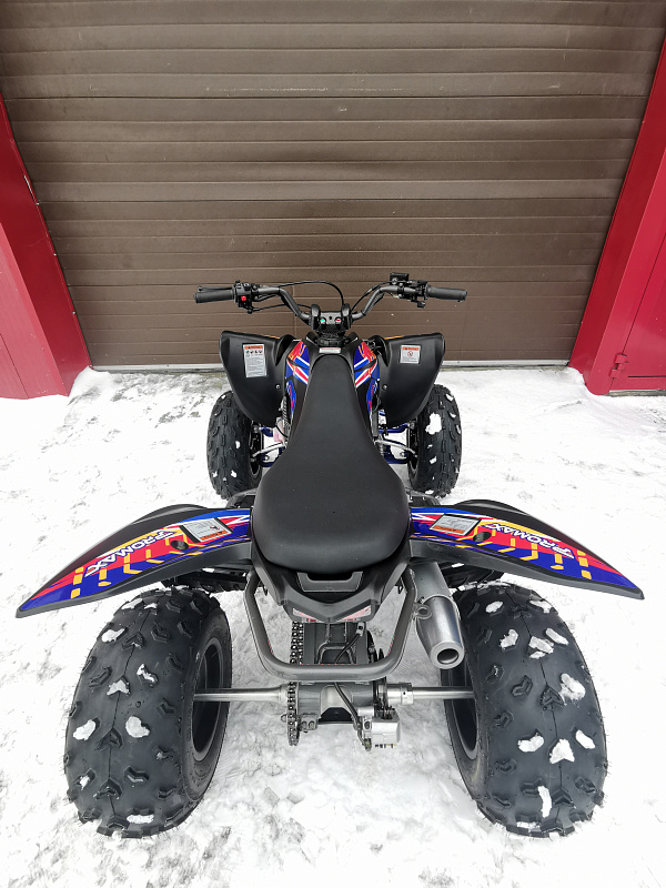 Квадроцикл PROMAX RAPTOR 300 NEW RedBull в Миассе