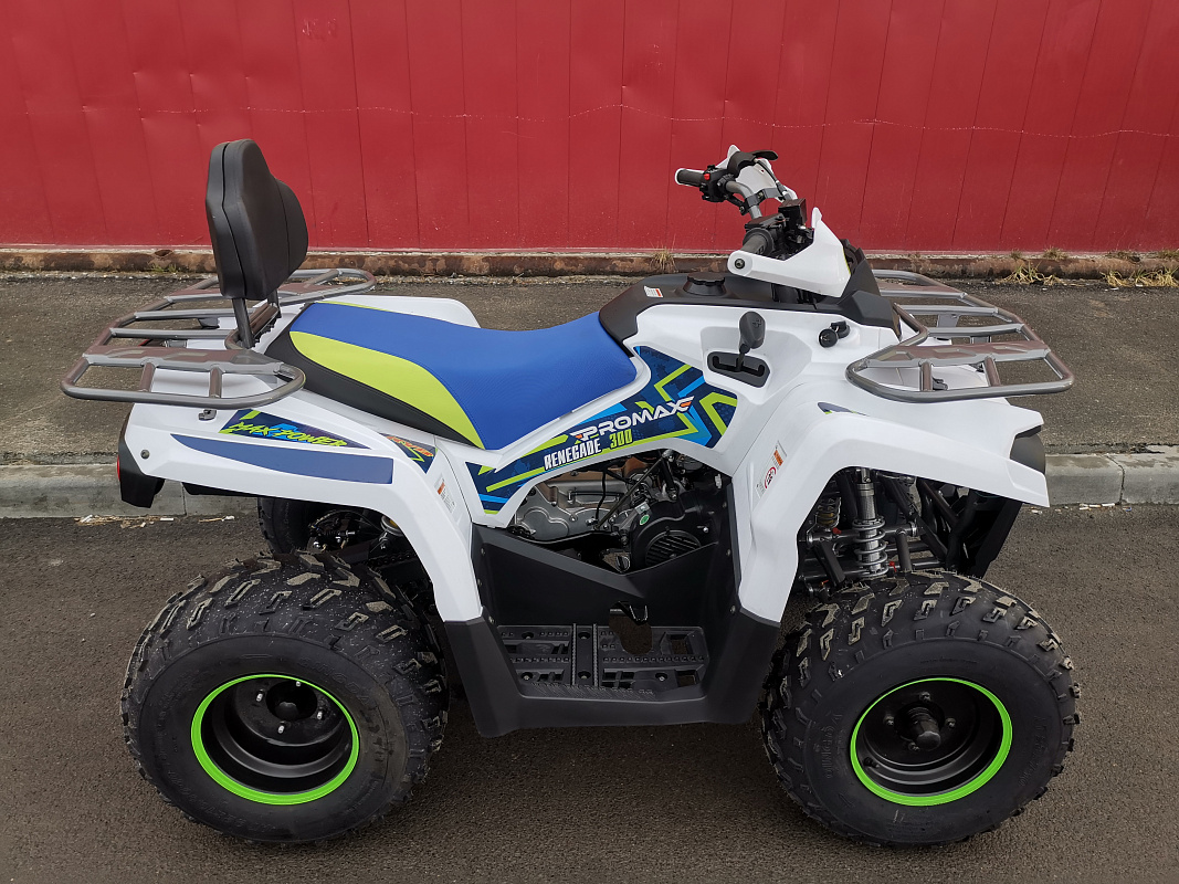 Квадроцикл PROMAX RENEGADE 280 LUX (2025) в Миассе