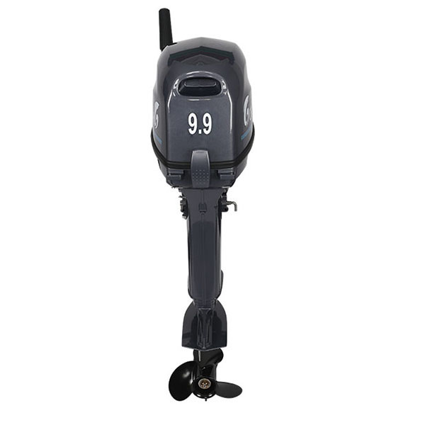 Лодочный мотор ALLFA CG Т9.9(20)MAX в Миассе