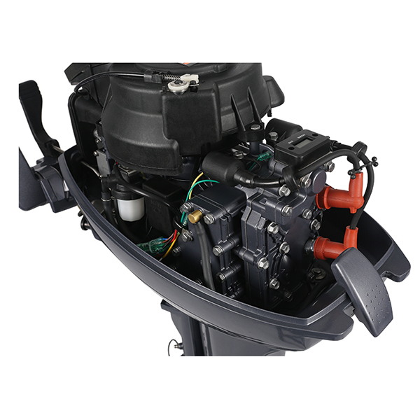 ЛОДОЧНЫЙ МОТОР ALLFA CG Т9,9 в Миассе