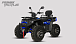 Квадроцикл PROMAX TAURUS 300 MAX-PRO LONG в Миассе