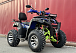  Квадроцикл PROMAX ATV 250 MAX (2025) в Миассе