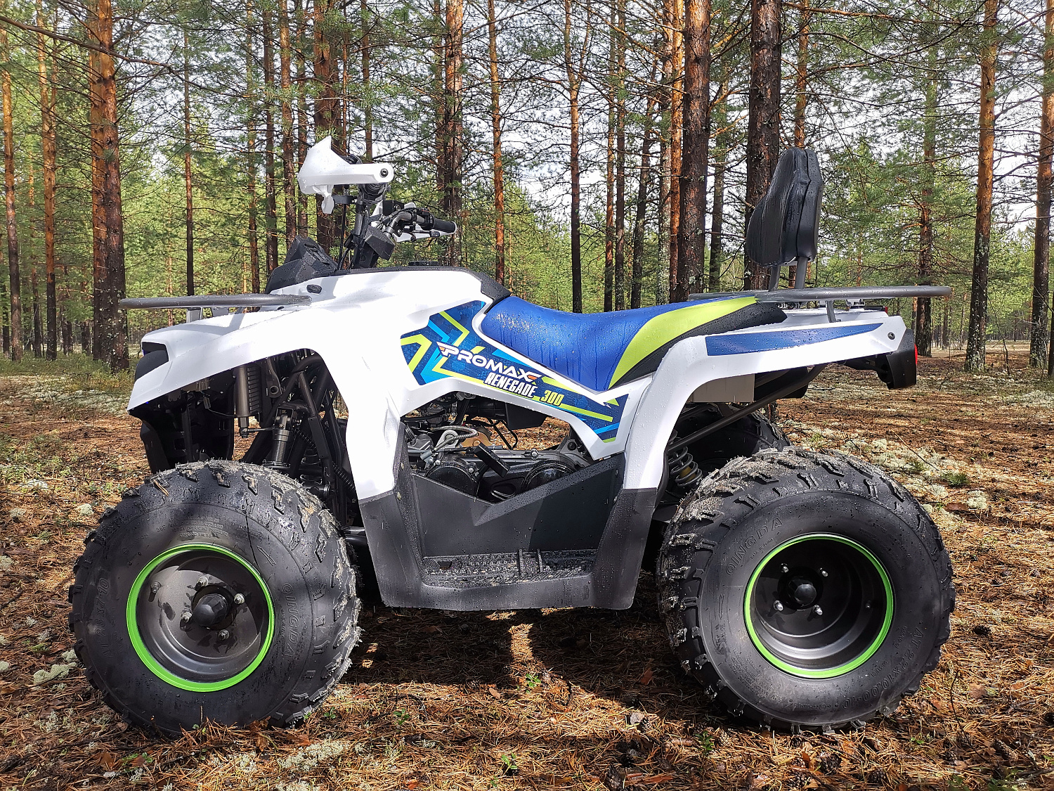 Квадроцикл PROMAX RENEGADE 280 (2025) в Миассе