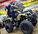 Квадроцикл PROMAX ATV 250 (2025) в Миассе