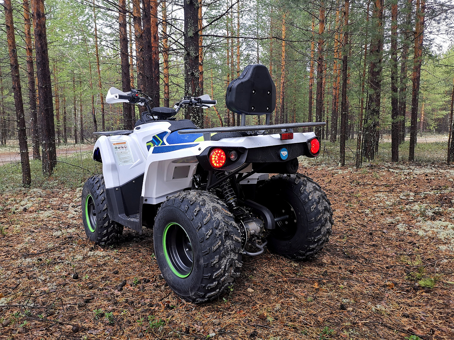 Квадроцикл PROMAX RENEGADE 280 (2025) в Миассе