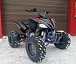 Квадроцикл PROMAX RAPTOR 300 NEW RedBull в Миассе