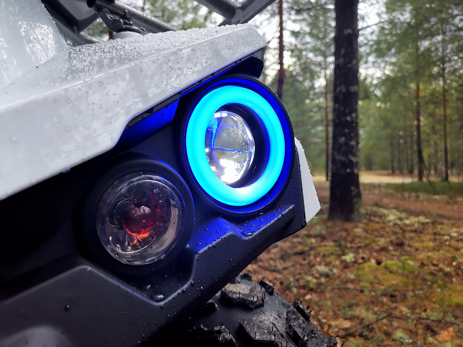 Квадроцикл PROMAX RENEGADE 280 (2025) в Миассе