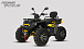 Квадроцикл PROMAX TAURUS 300 MAX-PRO LONG в Миассе